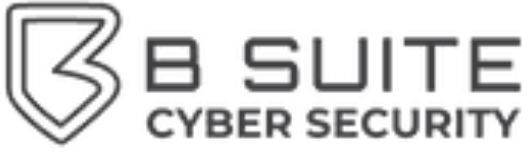 B Suite Cyber Security